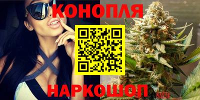 крисы Изобильный